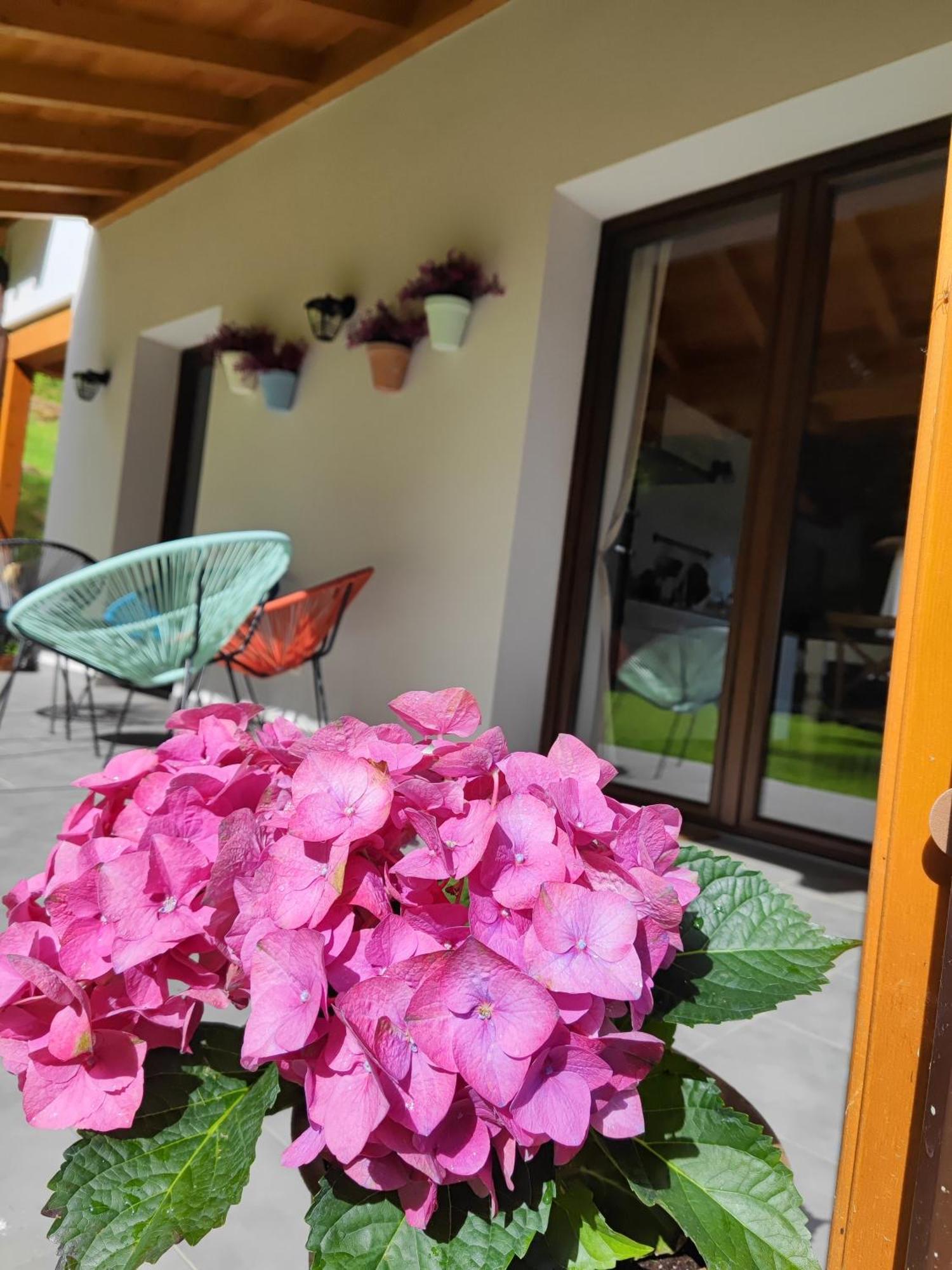 Reguero Gato Turismo Rural Candamu Kültér fotó